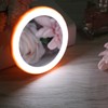 Compact Makeup Mirror with Light USB Rechargeable LED Round Portable