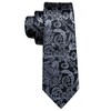 Barry.Wang Mens Silk Paisley Tie Set Black Silver Necktie Pocket