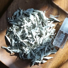 White Sage Purifying LUCAS Lucas (Leaf Only, 1.1 oz (30 g) (Organic California Production)