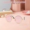 Dumhuts Women's sunglasses, hippie glasses, round pink accessories for fancy