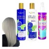 Shampoo + Mascarilla Mora Matizadora + Termoprotector Nekane