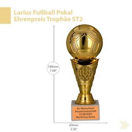 Larius Football trophy honour prize trophy – ST2 (with desired text, gold)