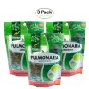 Hanan Te de Pulmonaria 50g - Lungwort Loose Leaf Tea,