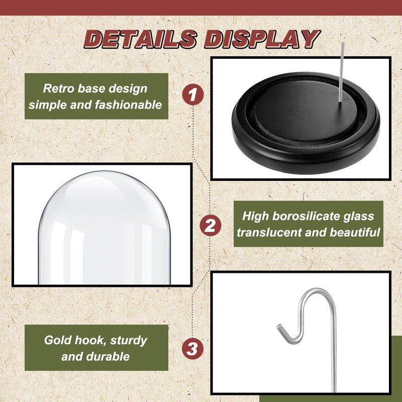 Beeveer 2 Pcs Pocket Watch Glass Display with Hooks Dome