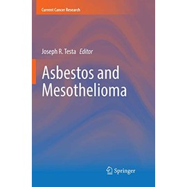 Asbestos and Mesothelioma