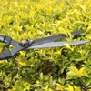 Hattomen Hedge Shears, 26 Inch Ideal for Shaping Hedges, Decorative