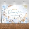 Mocsicka Pumpkin Baby Shower Backdrop for Boy Blue Boho Floral