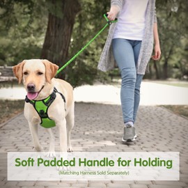 PHOEPET 5 Feet Dog Leash Reflective Heavy Duty Padded Rubber Handle 360° No Tangles for Small Medium and Large Dogs(Green)