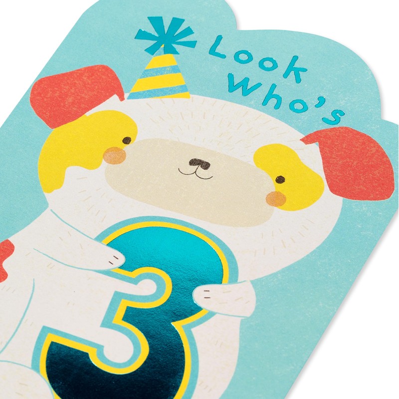 American Greetings 3rd Birthday Card (Smart and Special)