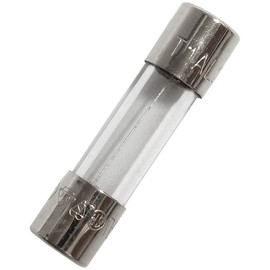 Yoiilnz 20 pcs T1AL250V Glass fuses Slow-Blow 5x20mm Time-Lapse 1 AMP