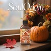 SoulOrigin SoulOrigin Autumn Wreath Essential Oil 120ml (4 Fl Oz),