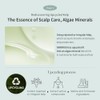Leave In Algae Therapy Mineral No wash Treatment 150ml