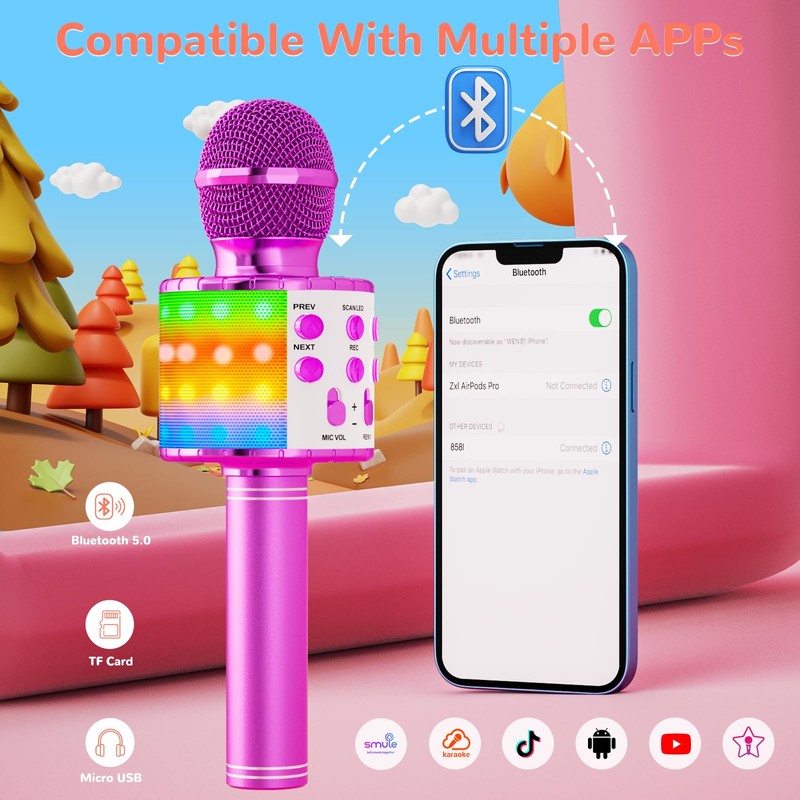 Ankuka Bluetooth Karaoke Microphone, Wireless Microphone with Built-in Speakers, Handheld