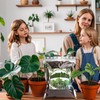 Doter Monstera Potting Soil 4qt - Premium Tropical Blend with