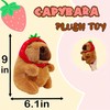 LoYuSenn 9.8 inch Capybara Stuffed Animal Plush Toys, Soft Plushies