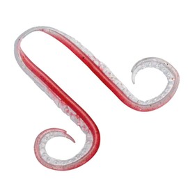 Shimano EW-004N 017 Tairaba Flame Moon Fish Tie Ikatako Curly Red Glow