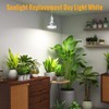 SpeePlant LED Grow Light Bulbs, Hanging Grow Lights for Indoor