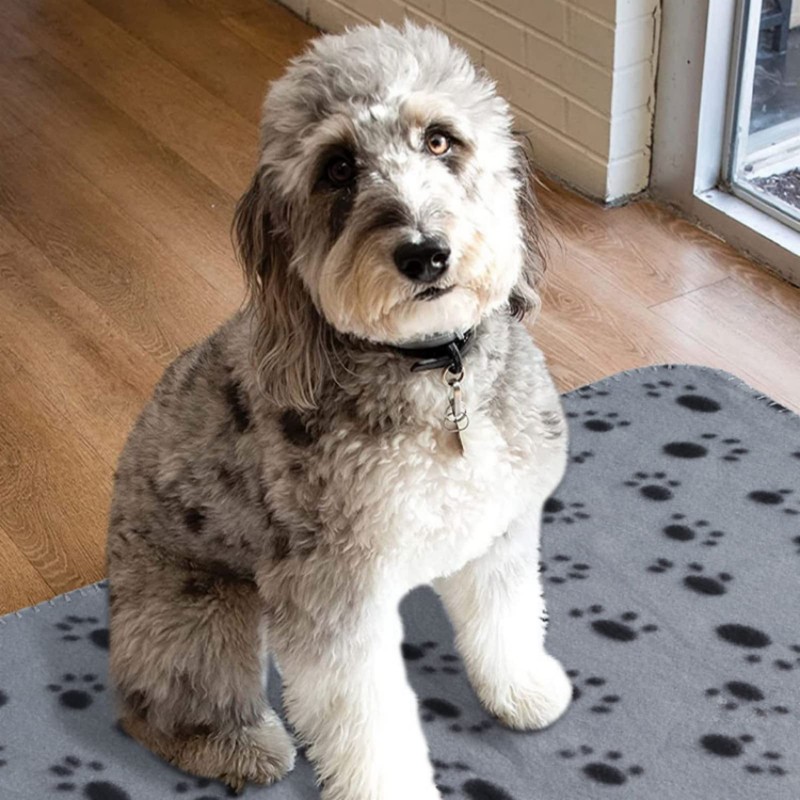 Aliangting 6Pcs Pet Blanket for Small Dogs Cats Soft Warm