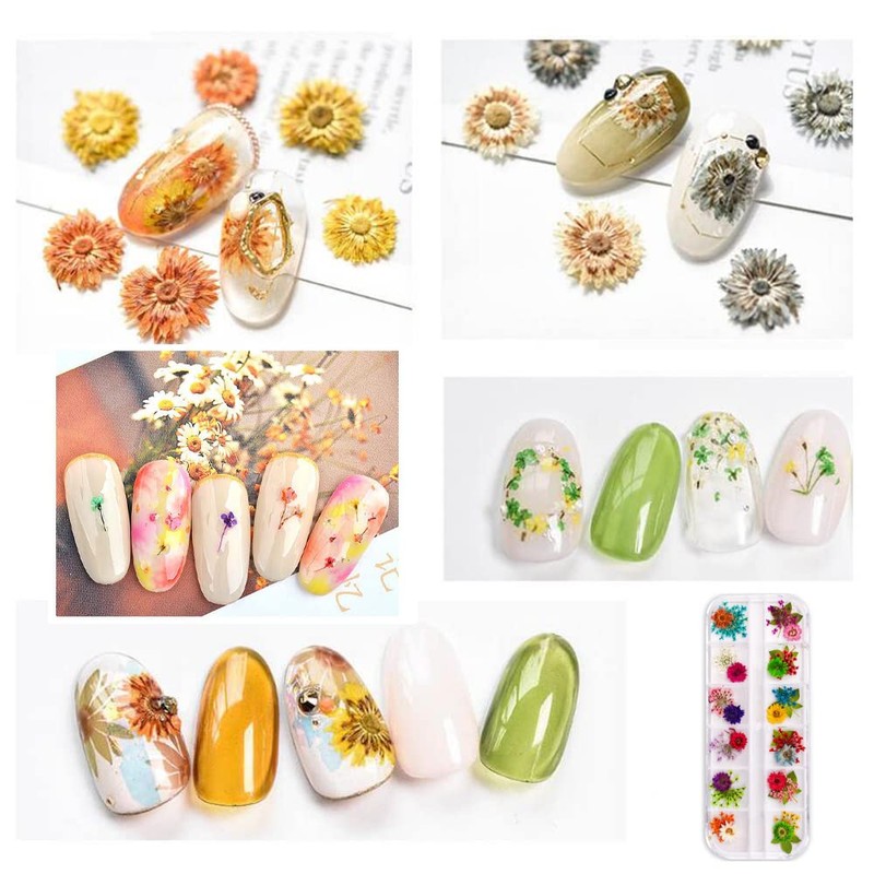 YFFSFDC Nail Pressed Flowers Dried Flowers for Nail Art Resin
