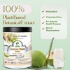 Bionutricia Coconut Water Powders, Natural Plant-Based Electrolyte Rehydration for Daily
