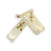 Infinity Decor Set of Polished Brass Victorian Scroll Lever Lock
