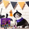 Cat Hallowen Advent Calendar 2025,13 Days Cats Toys Countdown Calendar