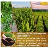 Turmeric Ginger Cinnamon Special 30 Tea Bags Turmeric Ginger Cinnamon