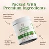 Regen Vitality Grass-Fed Colostrum & Collagen Powder | Gut Health,