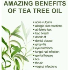 AWAD Tea Tree Pure Essential Oil - 2.5 oz/75 ML + Free Carrier oil 10 ml