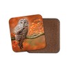1 x Wise Brown Owl Coaster - Bird Autumn Tree