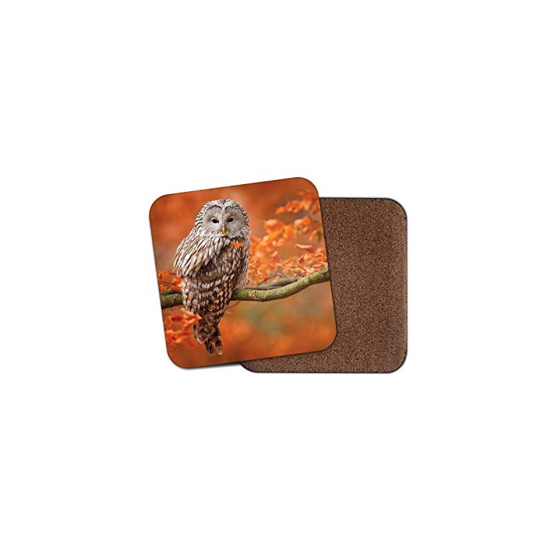 1 x Wise Brown Owl Coaster - Bird Autumn Tree