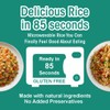 Eat Regal Veg Fried Rice – Microwavable, Ready in 90