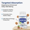 Magnesium 3-in-1 Complex 400mg of Elemental