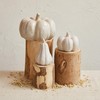 Creative Co-Op Stoneware Pumpkin Decor with Reactive Glaze, Cream