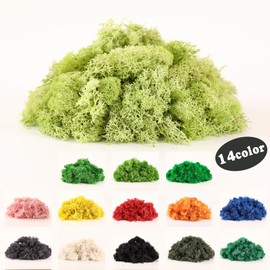 Dallisten Moss Preserved, Craft Reindeer Green Decorative Moss for Enchanted Forest Decorations, Fairy Garden, Party, Art Wall, Indoor Potted Plants,Table, Terrariums, Bonsai Decor (6Green,3.6OZ)