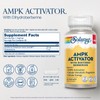 SOLARAY AMPK Activator Plus Dihydroberberine - Clinically Backed Ingredient -