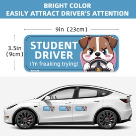 BOTOCAR Funny Student Driver Magnet for Car - 3 Pack 9"x3.5" Magnetic Reflective Funny Removable Novice Driver Safety Attention Sign - Weather-Resistant (Blue Dog)