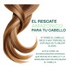 Manteca Amazonica De Cupuacu Copoasú Natural 500g