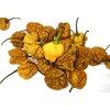 Jamaican Scotch Bonnet MOA Yellow Hot Pepper Dried Whole Pods