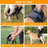 Dog Lifting Harness,Dog Support Harness Slings for Back Legs,Adjustable Assistance