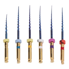 6pcs SX F3 Dental Endo Canal Files Large Taper Thermal Activation Needle Tip Dental Endodontic Canal Files with Storage Box 25mm