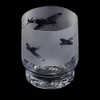 Dartington Crystal Aspect Tumbler - Spitfire