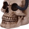 Nemesis Now Familiar Fate 24.3cm Black Witches Cat and Skull