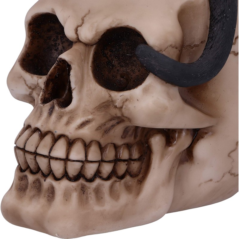 Nemesis Now Familiar Fate 24.3cm Black Witches Cat and Skull