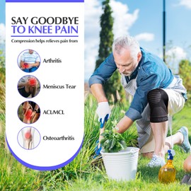 Lexniush Knee Support for Men/Women, Pack of 2, Compression Knee Support, Best Knee Sleeves Support for Meniscus, Osteoarthritis, ACL, Knee Pain, Jogging, Running, Weight Sports, Sports