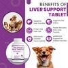 Milk Thistle for Dogs with High Potency Liver Health Supplement
