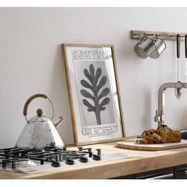 Lithobee - Karl Blossfeldt Urformen Der Kunst 1928 Achillea Umbellata Yarrow - Printed Wall Art Design Size A2, A3 & A4 Framed or Unframed (A3 Unframed)