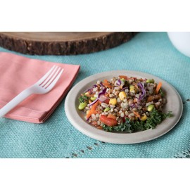 ECO PRODUCTS Compostable CPLA 7" Plastic Dinner Forks, Case of 1000, Disposable White Fork, Plantware Cutlery, Renewable Material Made from Plants, Sturdy and Strong, BPI-Certified