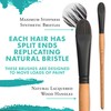 Princeton Catalyst, Series 6400, Long-Handle Synthetic Polytip Bristle Paint Brush,