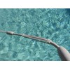 Zodiac Cleaner Clip (Pkg of 10 White Clips) Size 3/4